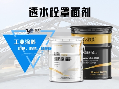 透水砼罩面剂